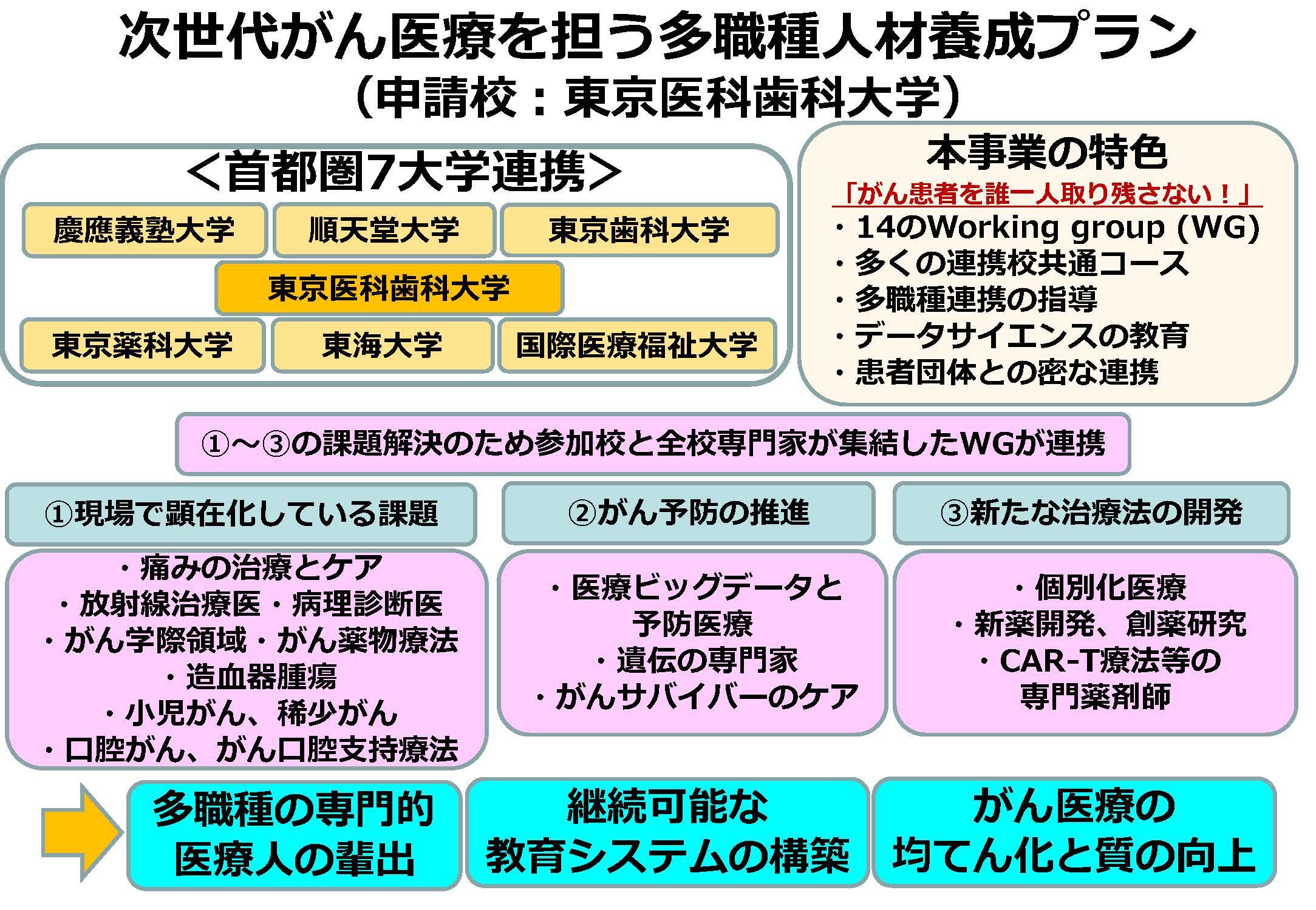 「次世代のがんプロフェッショナル養成プラン」概要