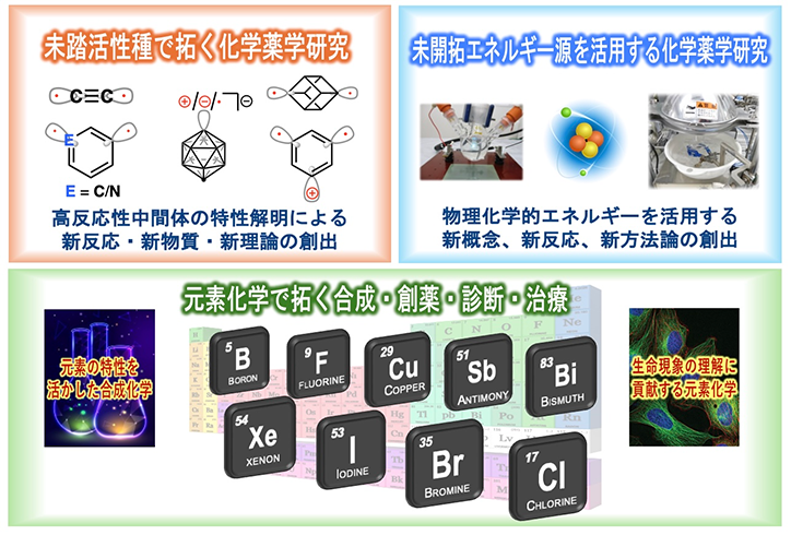 サンプル