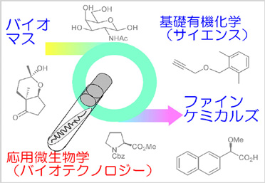 サンプル